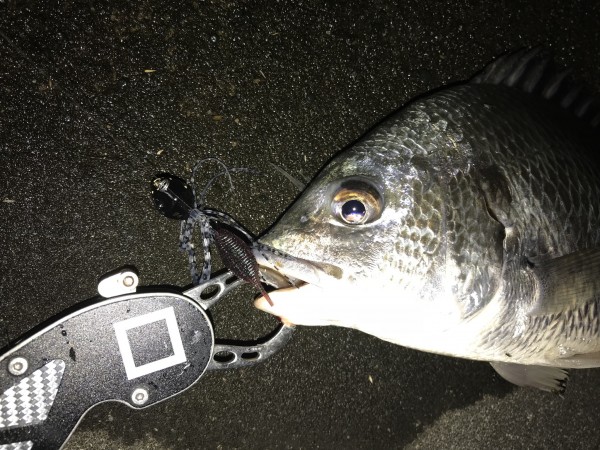 hideup 蘆原仁 ブログ写真 2018/06/08