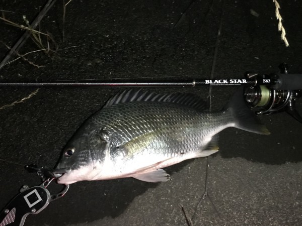 hideup 蘆原仁 ブログ写真 2018/06/08