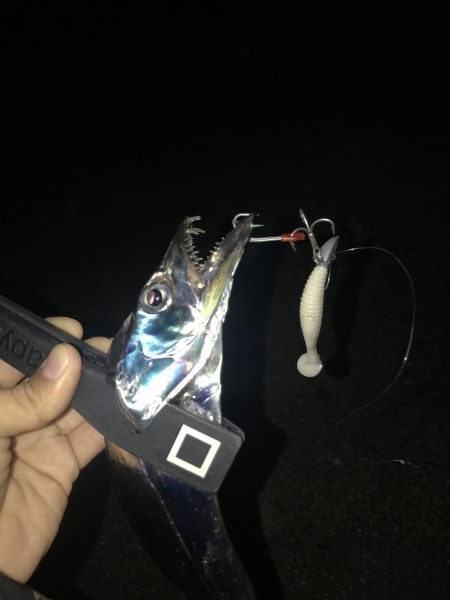 hideup 蘆原仁 ブログ写真 2018/11/08