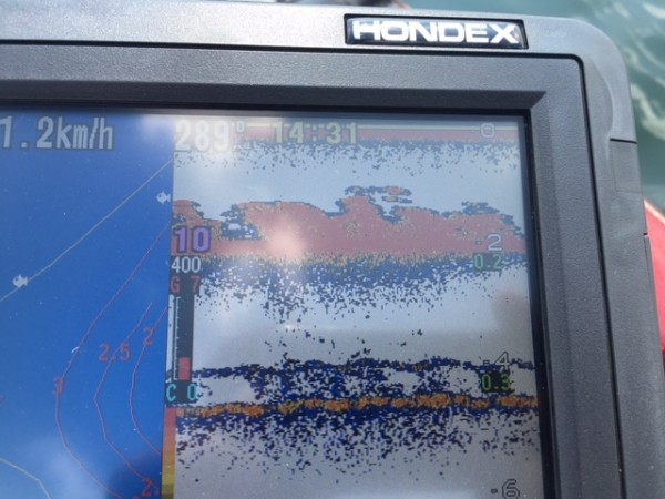 hideup ボンバー ブログ写真 2016/06/23