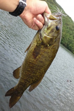 hideup ボンバー ブログ写真 2014/08/22