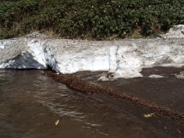 hideup ボンバー ブログ写真 2015/05/03