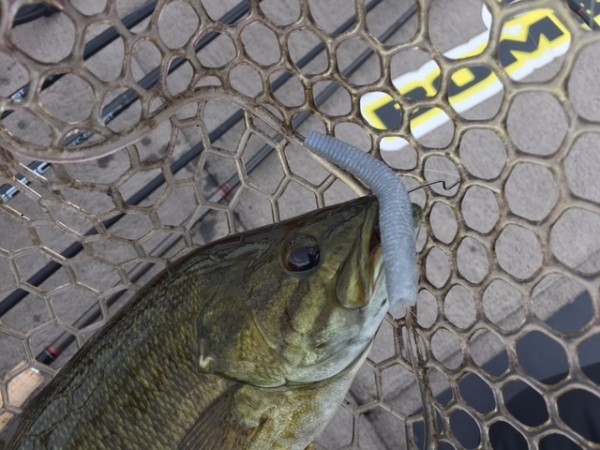 hideup ボンバー ブログ写真 2016/10/05