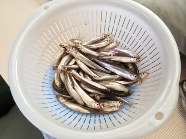 hideup ボンバー ブログ写真 2014/03/03