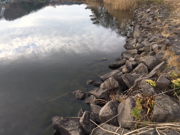 hideup ボンバー ブログ写真 2015/12/15