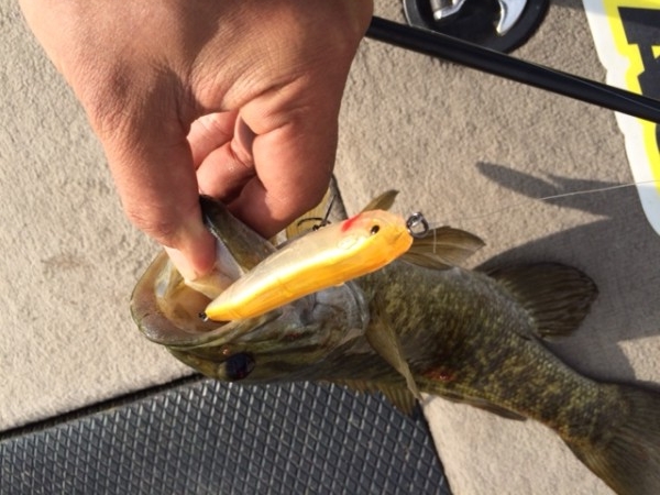 hideup ボンバー ブログ写真 2014/10/03