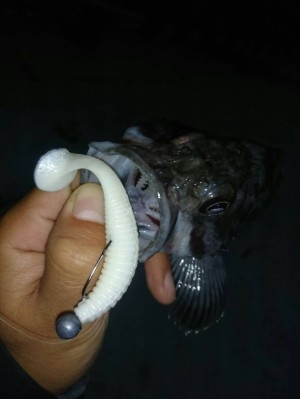 hideup ボンバー ブログ写真 2016/11/02