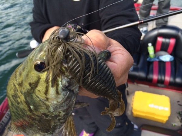 hideup ボンバー ブログ写真 2014/07/08