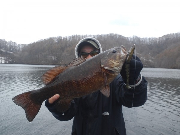 hideup ボンバー ブログ写真 2014/07/07