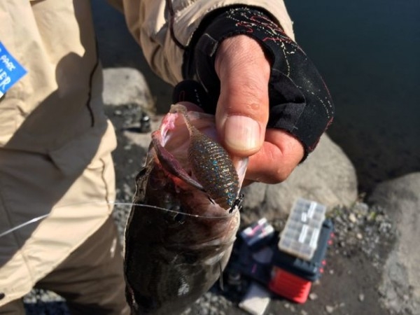 hideup ボンバー ブログ写真 2014/03/05