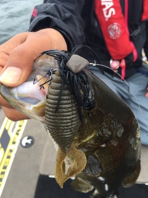 hideup ボンバー ブログ写真 2016/09/20