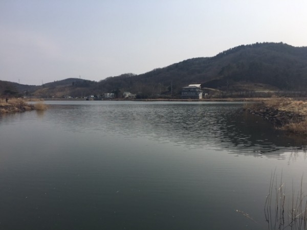 hideup ボンバー ブログ写真 2016/03/04