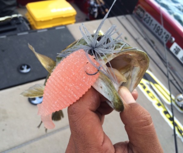 hideup ボンバー ブログ写真 2014/07/07