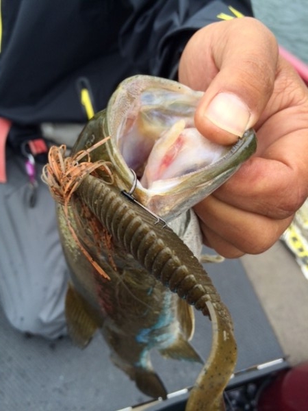 hideup ボンバー ブログ写真 2014/12/19