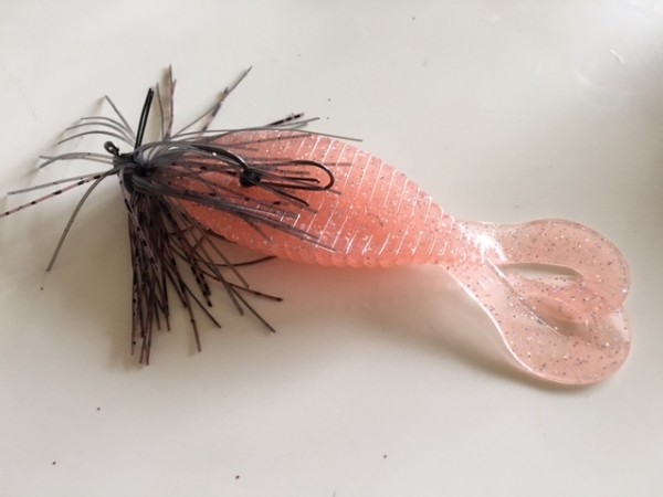 hideup ボンバー ブログ写真 2016/06/10