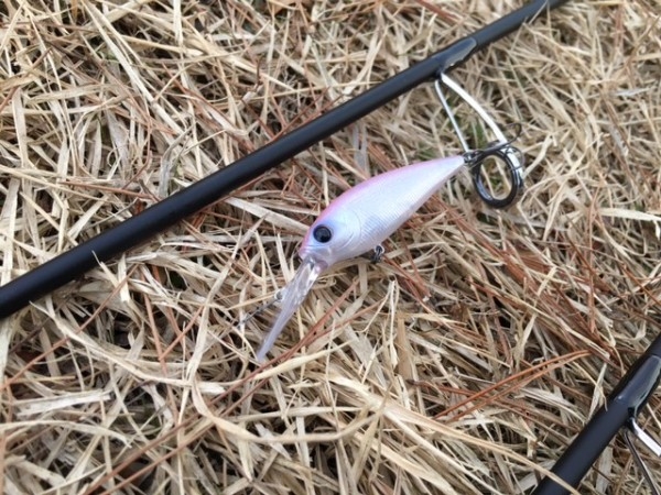 hideup ボンバー ブログ写真 2017/01/08