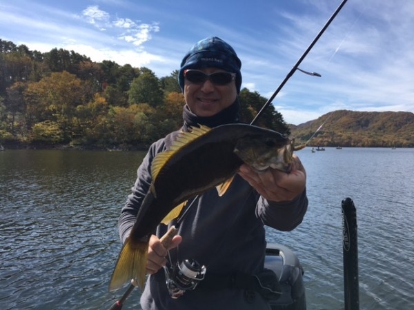 hideup ボンバー ブログ写真 2016/10/22