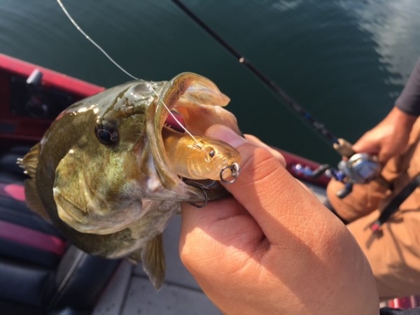 hideup ボンバー ブログ写真 2016/08/06