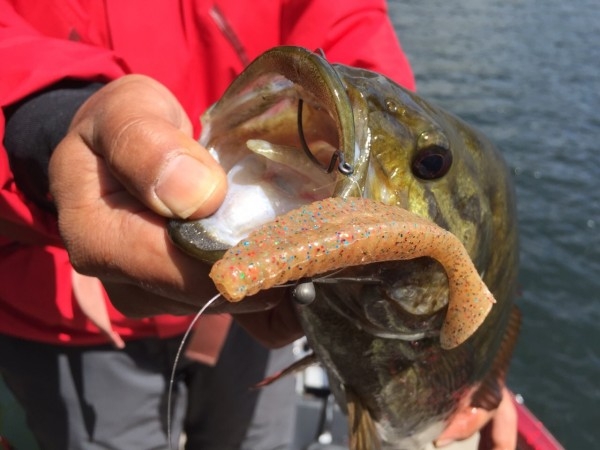 hideup ボンバー ブログ写真 2015/05/10