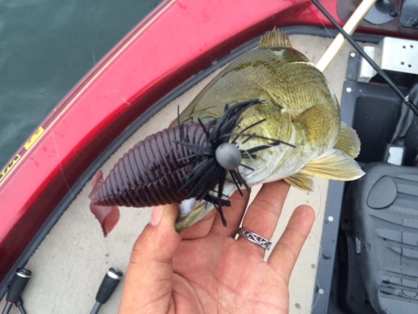 hideup ボンバー ブログ写真 2015/08/11