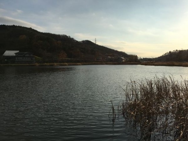 hideup ボンバー ブログ写真 2015/12/03