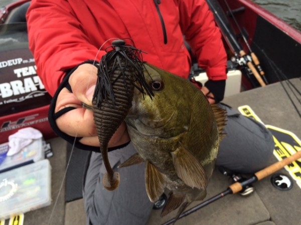 hideup ボンバー ブログ写真 2014/11/03