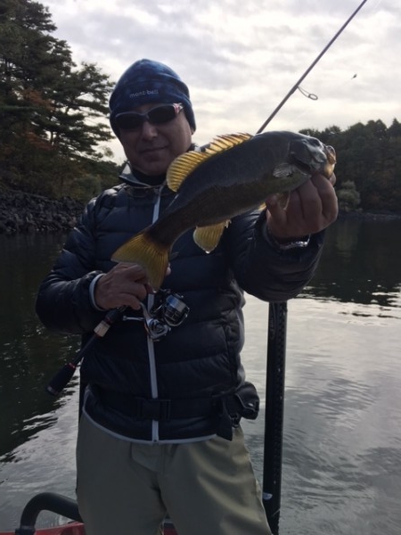 hideup ボンバー ブログ写真 2016/10/22