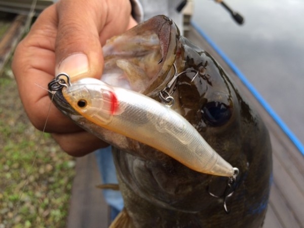 hideup ボンバー ブログ写真 2015/09/03