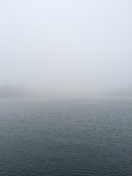 hideup ボンバー ブログ写真 2015/07/13