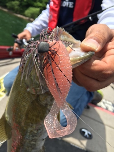 hideup ボンバー ブログ写真 2016/06/11