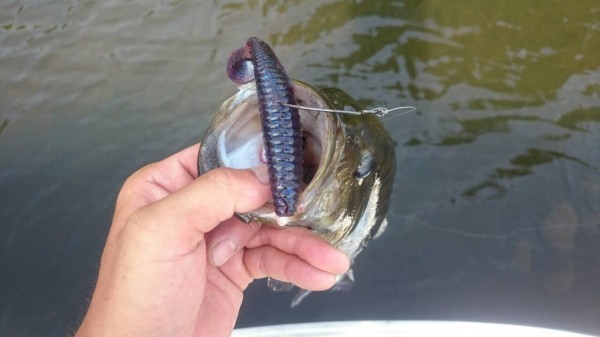 hideup ボンバー ブログ写真 2015/08/05