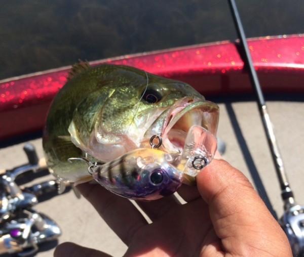 hideup ボンバー ブログ写真 2014/11/08