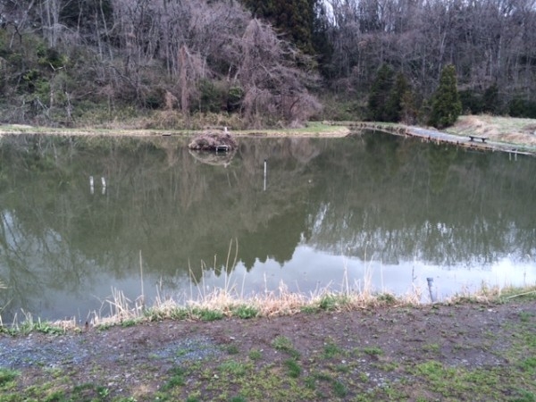 hideup ボンバー ブログ写真 2014/04/05