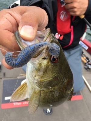 hideup ボンバー ブログ写真 2016/06/15