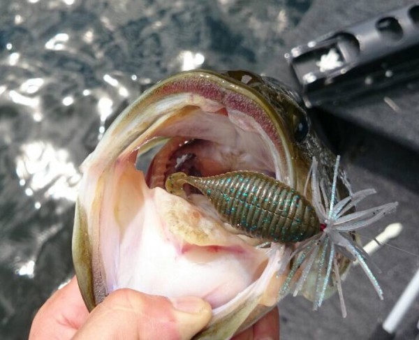 hideup ボンバー ブログ写真 2014/08/22