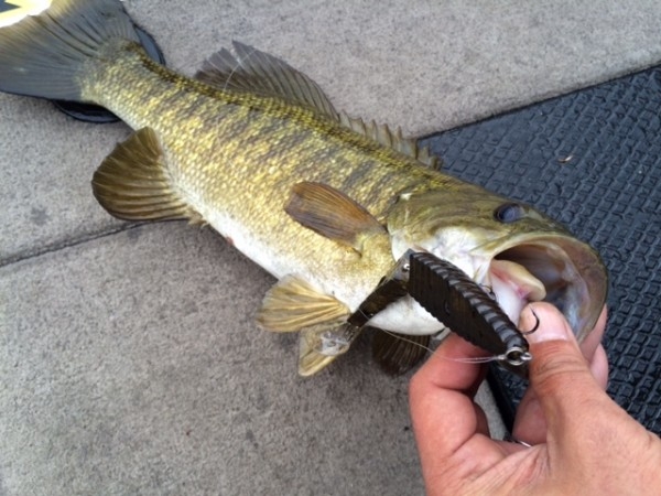 hideup ボンバー ブログ写真 2014/12/17