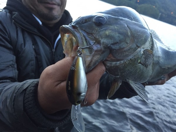 hideup ボンバー ブログ写真 2016/10/19