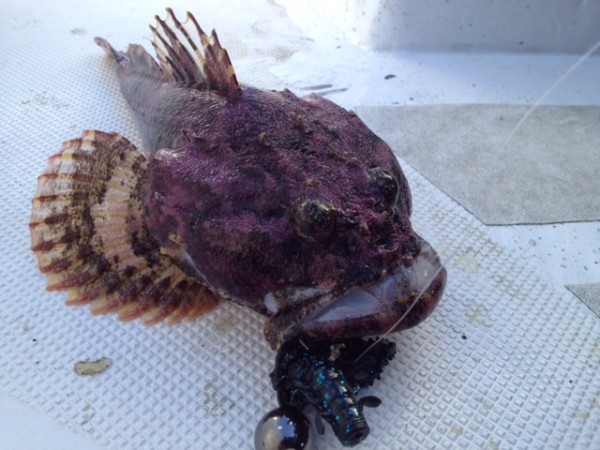 hideup ボンバー ブログ写真 2015/12/16