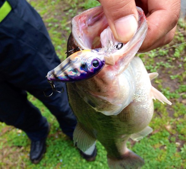 hideup ボンバー ブログ写真 2014/04/05