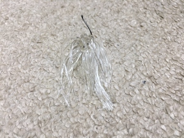 hideup ボンバー ブログ写真 2016/06/10