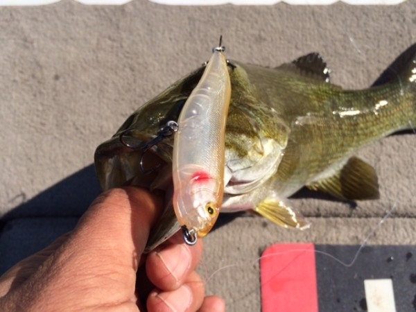 hideup ボンバー ブログ写真 2014/12/21