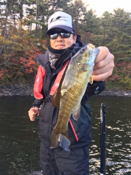 hideup ボンバー ブログ写真 2016/10/24