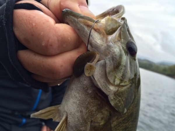 hideup ボンバー ブログ写真 2014/10/04