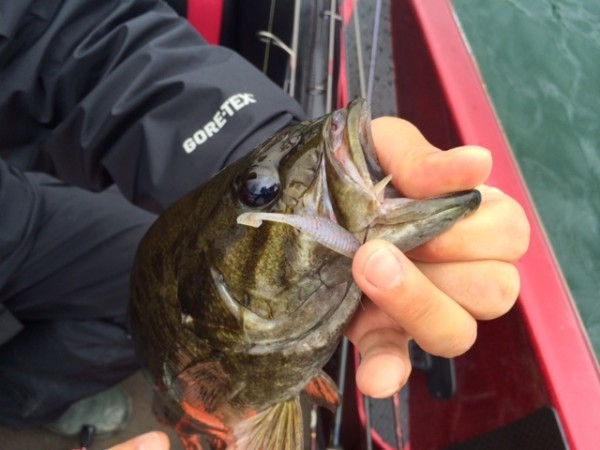 hideup ボンバー ブログ写真 2014/07/07