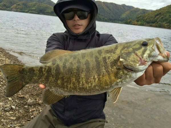 hideup ボンバー ブログ写真 2016/10/18