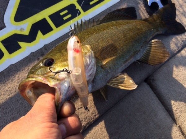 hideup ボンバー ブログ写真 2014/12/21