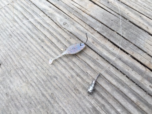 hideup ボンバー ブログ写真 2016/07/03