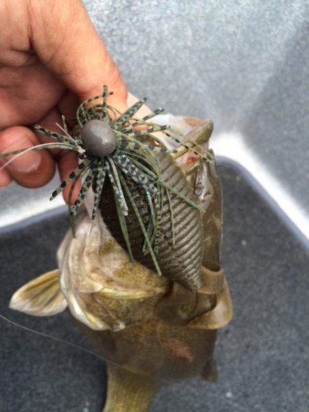 hideup ボンバー ブログ写真 2015/07/13