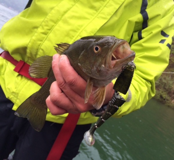 hideup ボンバー ブログ写真 2015/05/09