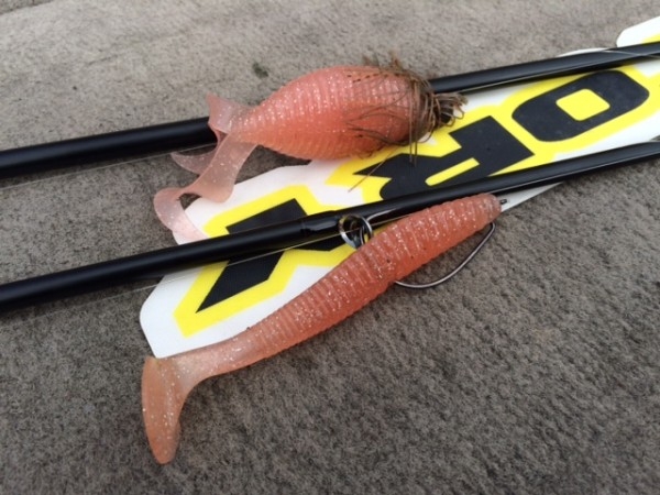 hideup ボンバー ブログ写真 2015/06/23